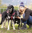 322990398_689916022828471_8603238691392796066_n